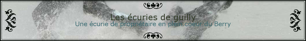 Les écuries de guilly